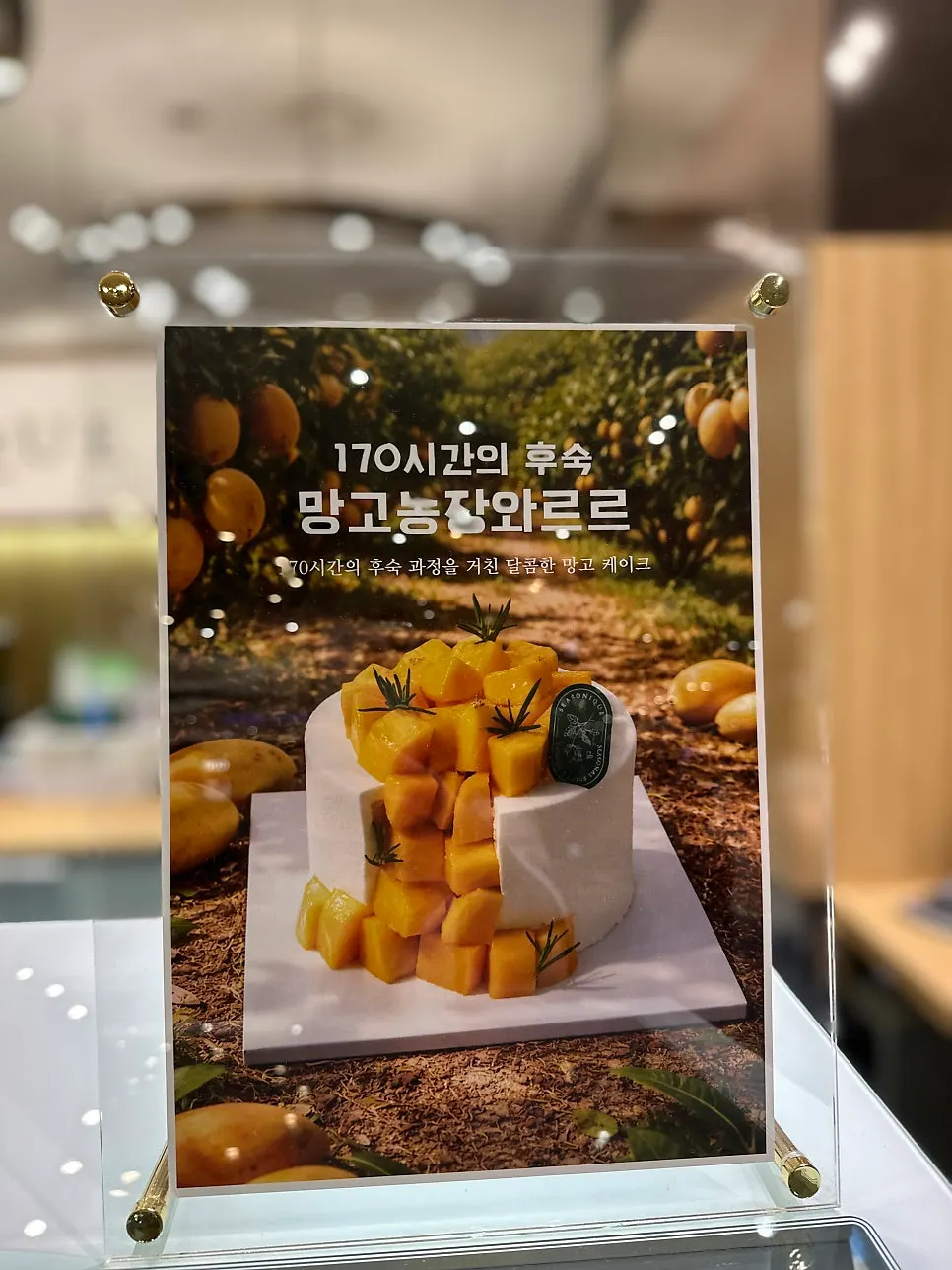 시즈니크 기념일 초 구성