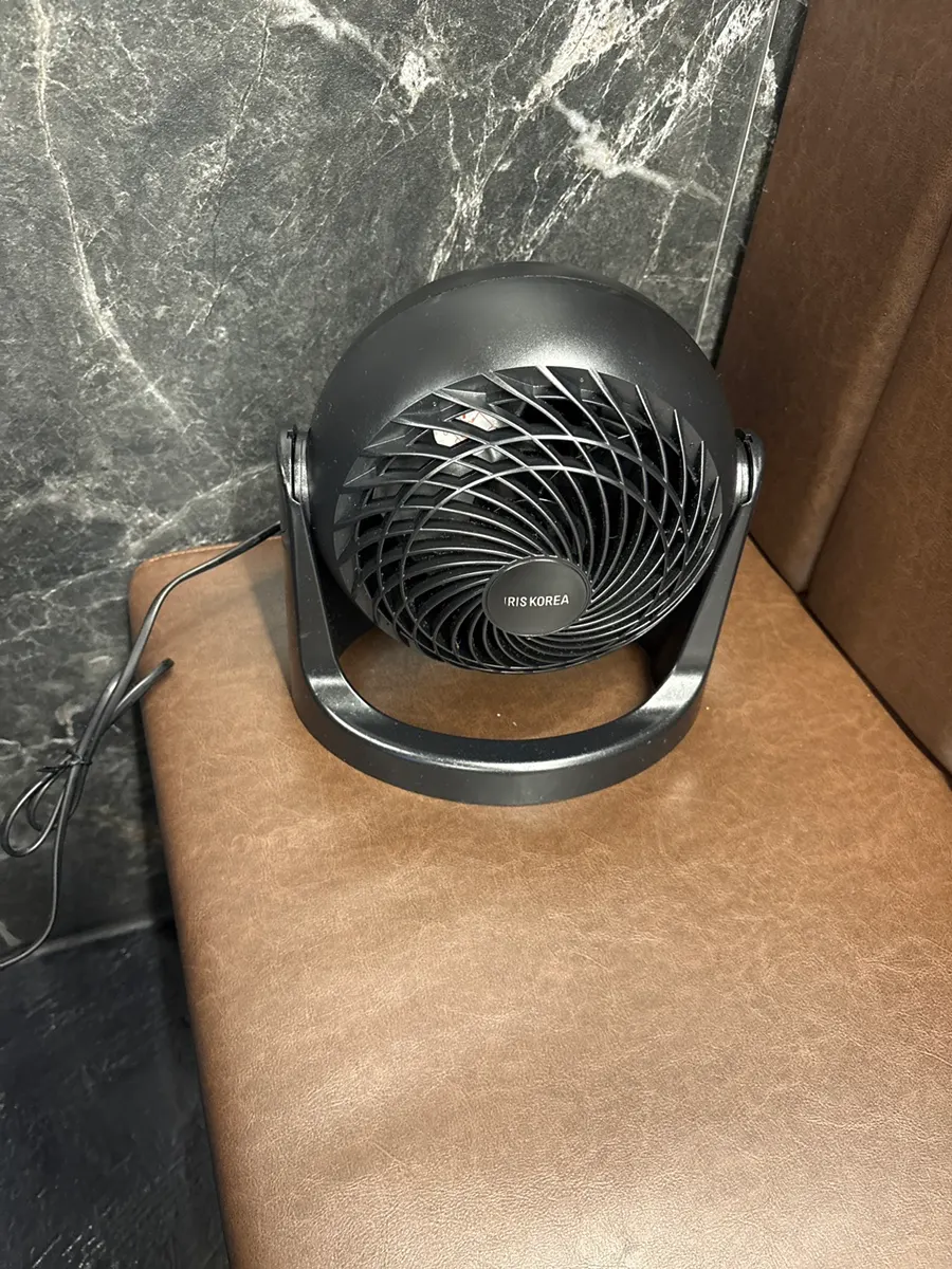 Barbecue restaurant seating and a fan