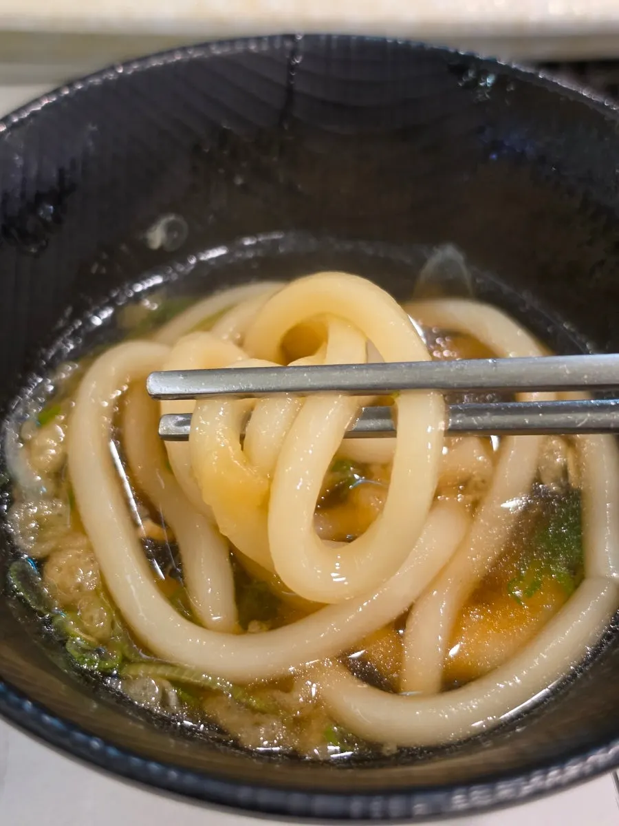 Clean, rich udon broth