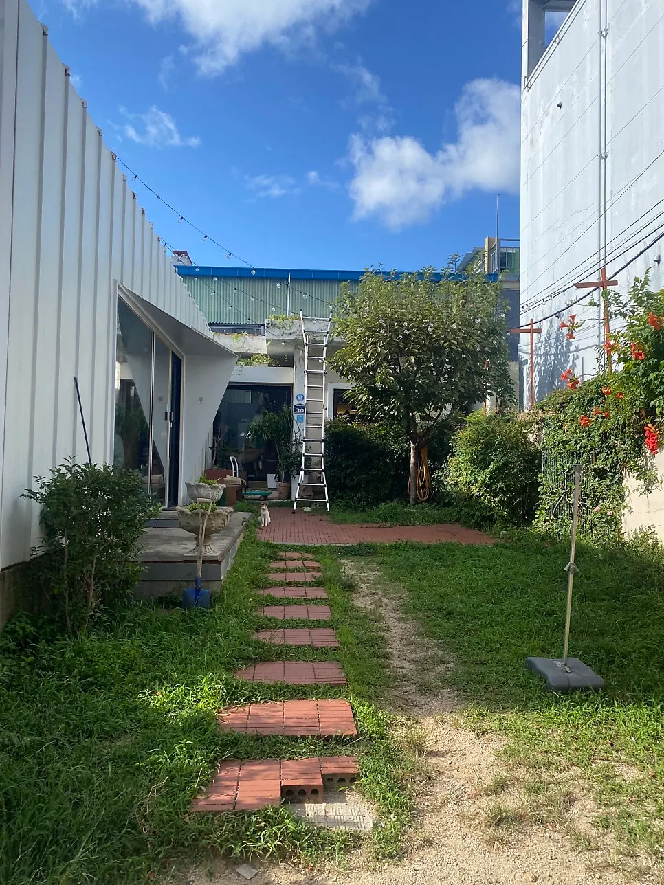 Buajang's front yard full of green trees