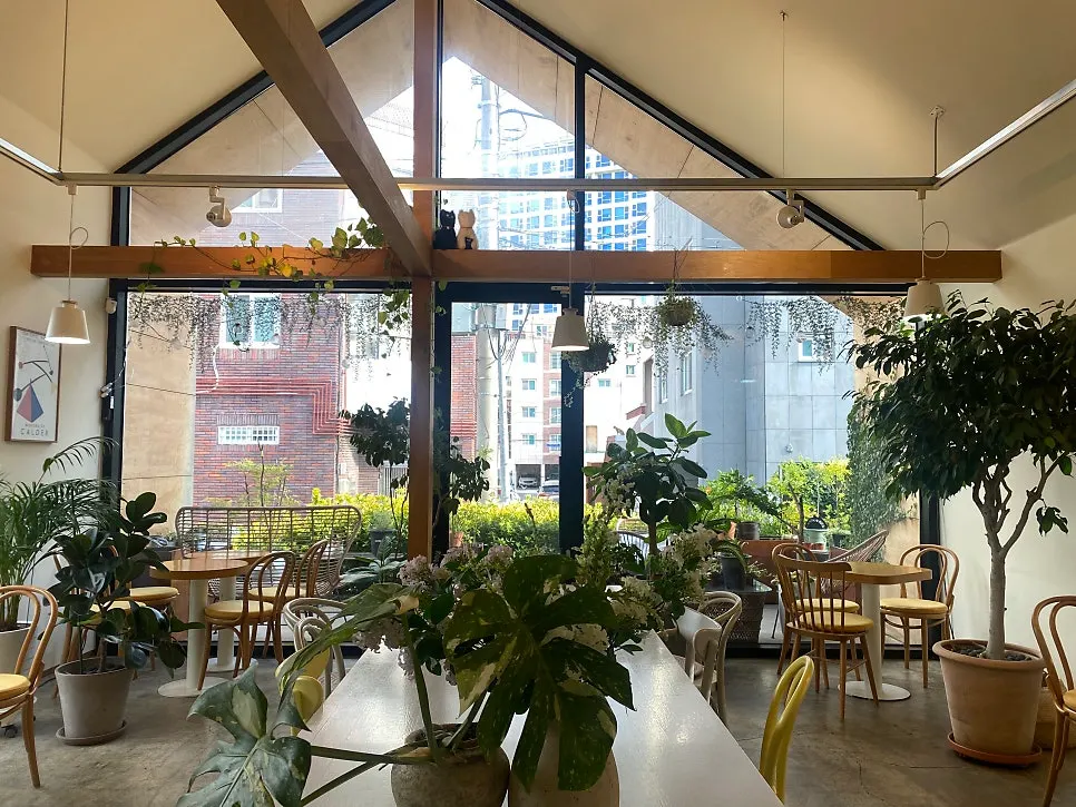 Sunlit interior of Café Buajang