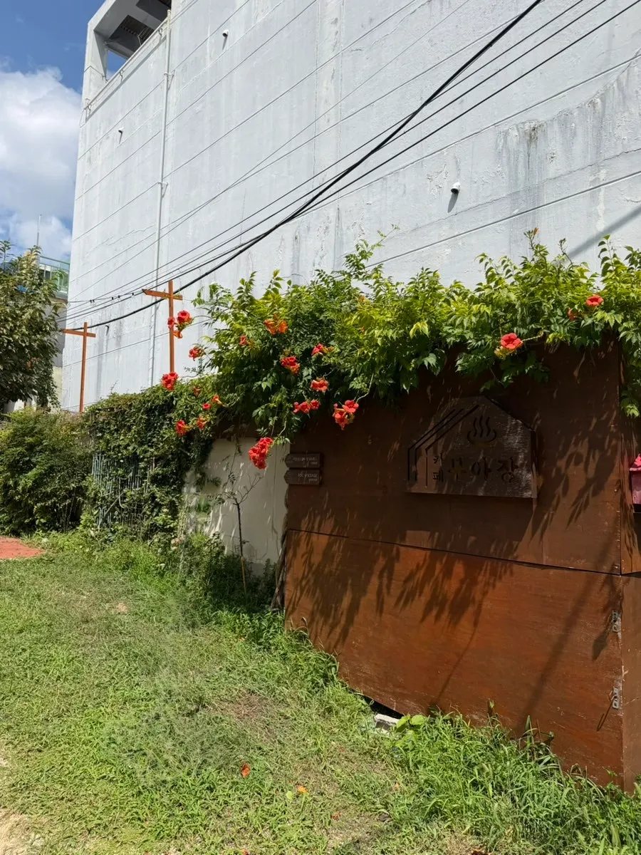Warm café exterior harmonizing with flowers
