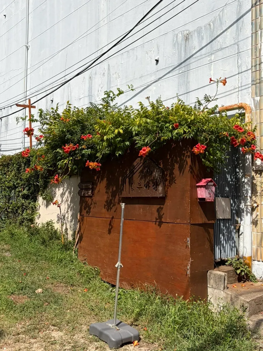 Café Buajang, a renovated-house café near Gwangalli in Busan