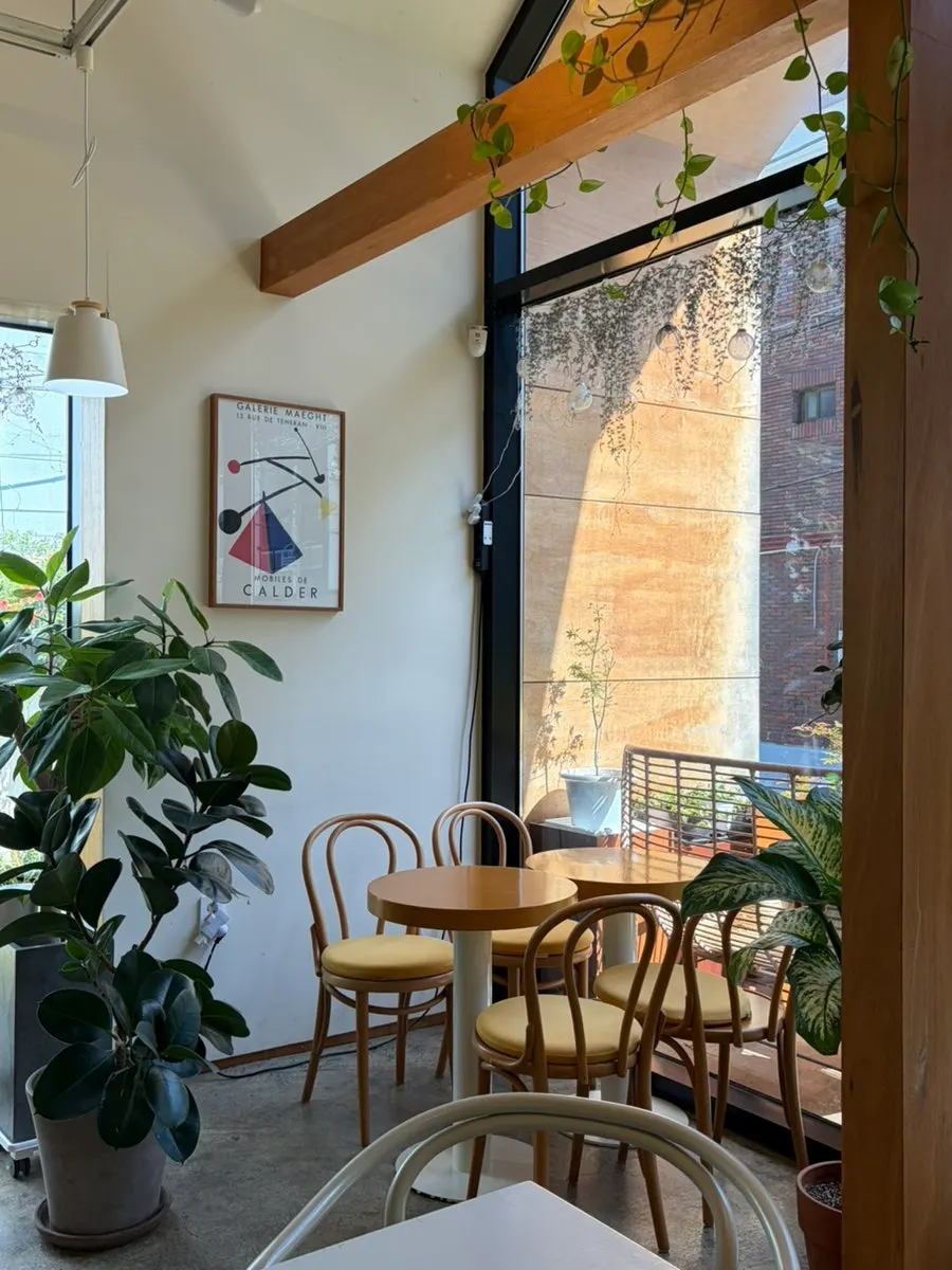 Lush green interior of Café Buajang