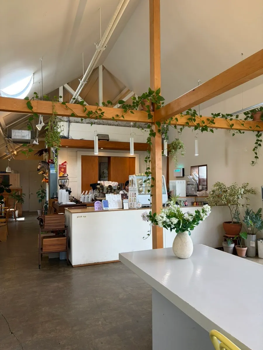 Café space that feels like an indoor garden