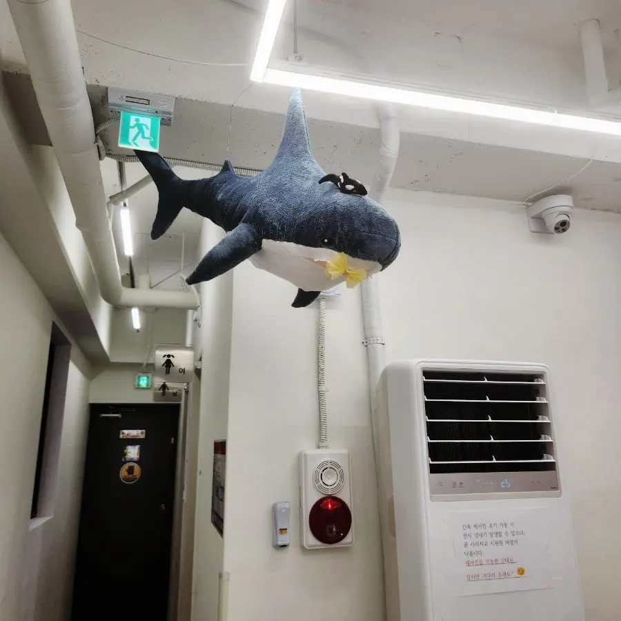 Shark plush decoration in the play area