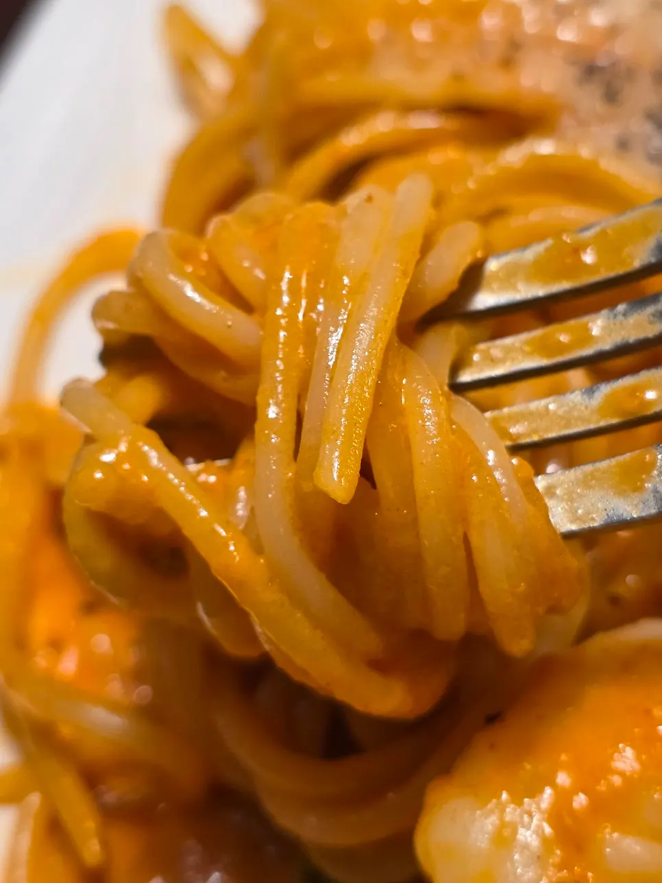 Rosé pasta with large shrimp