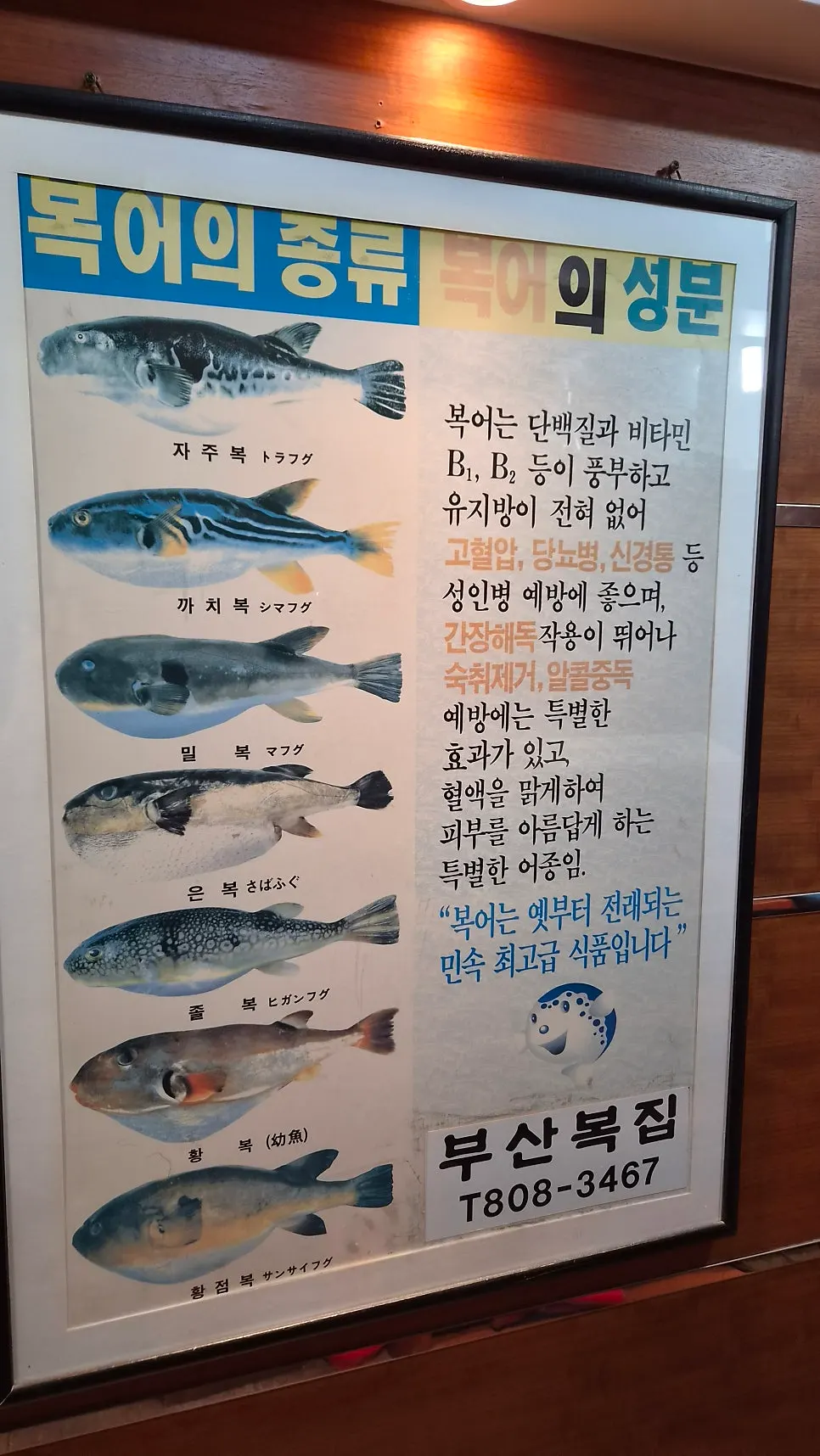 Full table spread of the Special A course at Busan Bokjip
