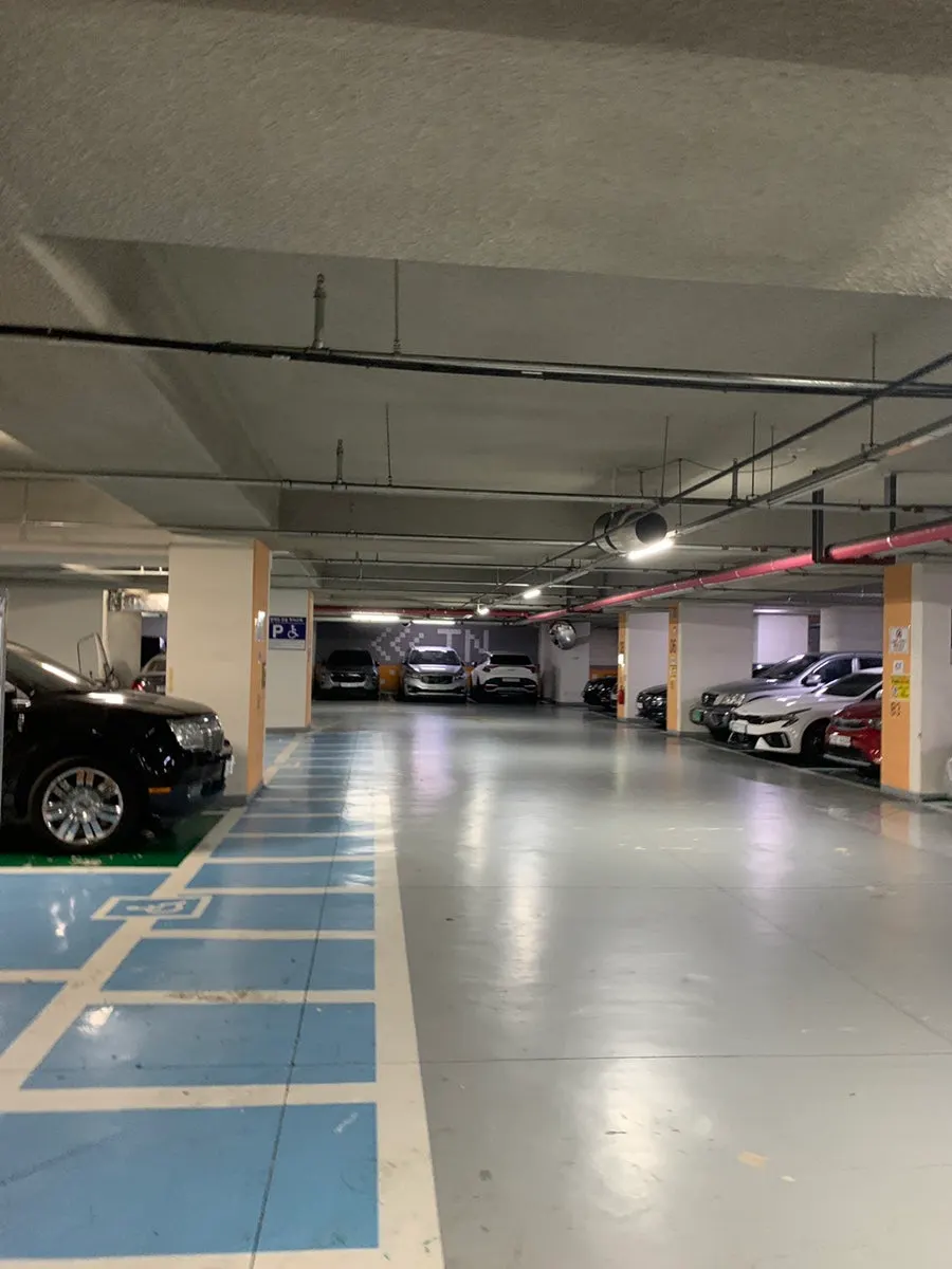 Dain Royal Palace shopping arcade parking information