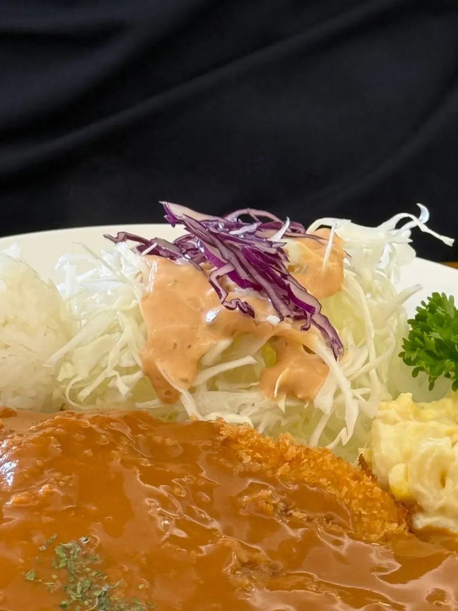 Pork cutlet with moist sauce