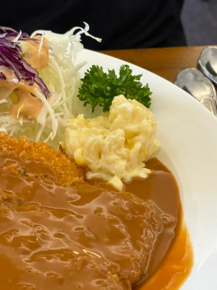 Pork cutlet served with rice and salad