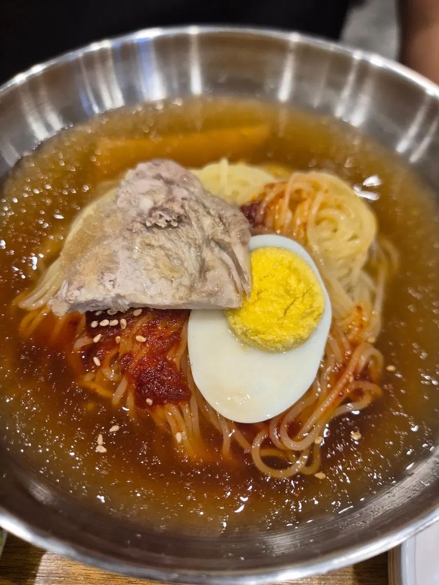 Bowl of water milmyeon topped only with egg