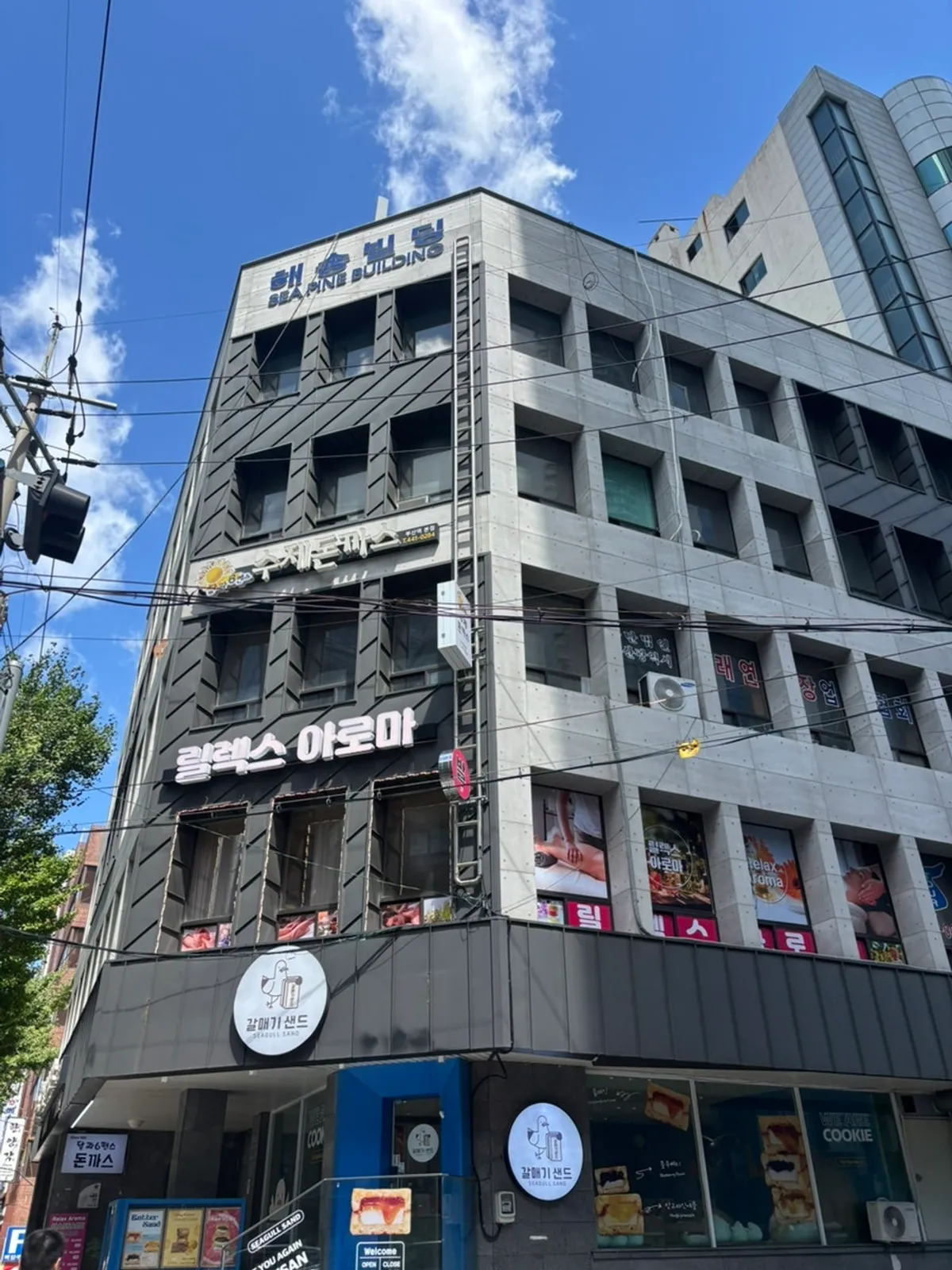 Visit to Dal and Sixpence near Busan Station