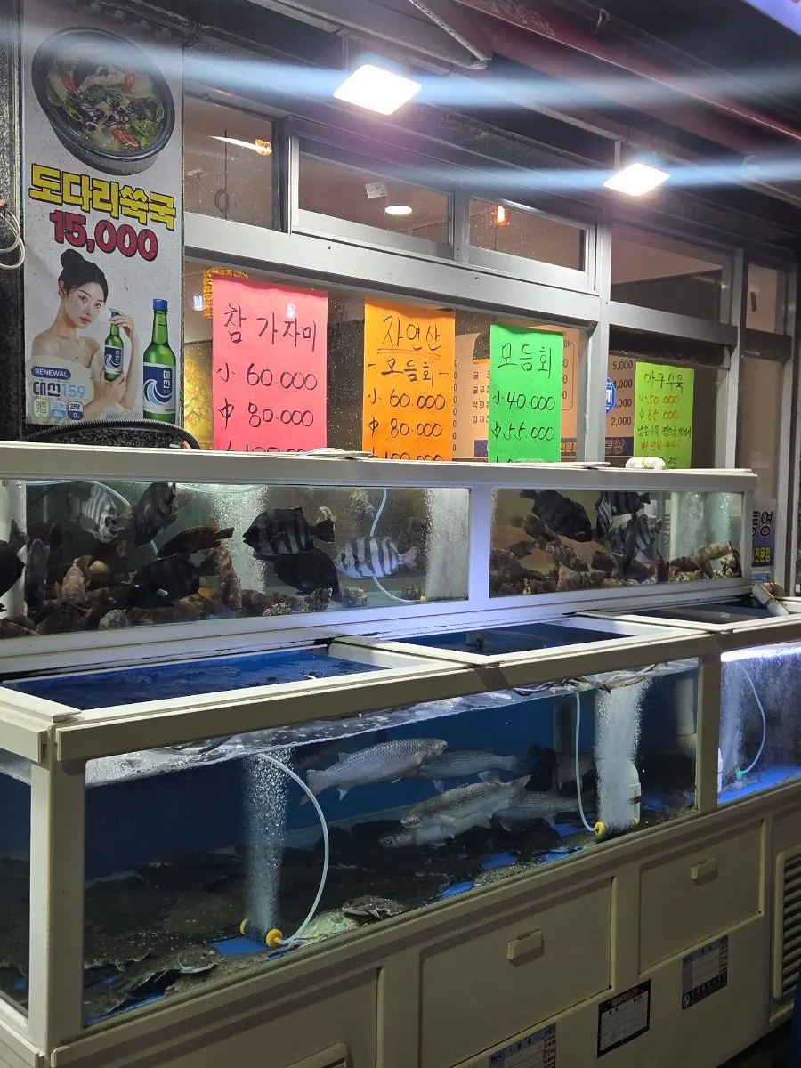 Inside the restaurant with fish tanks and sashimi