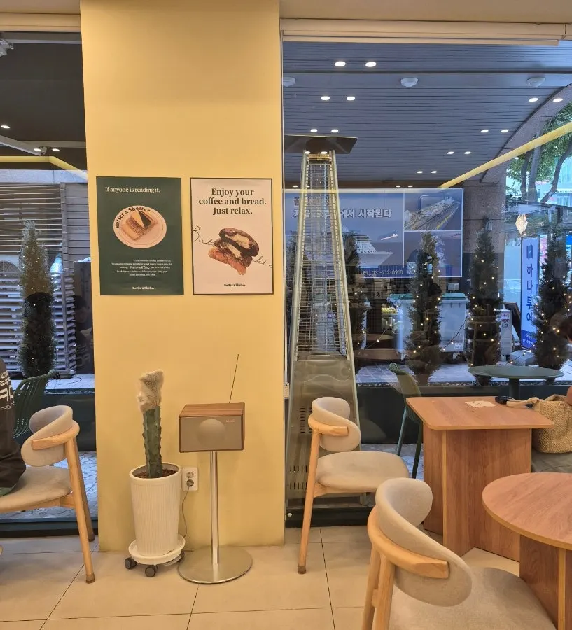 정자동 카페 거리 방향 거리 풍경