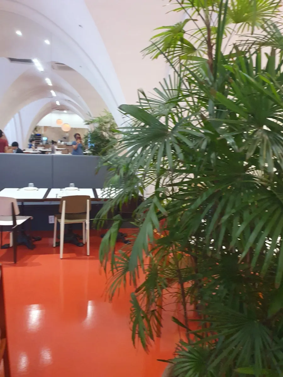 European-style interior with an areca palm