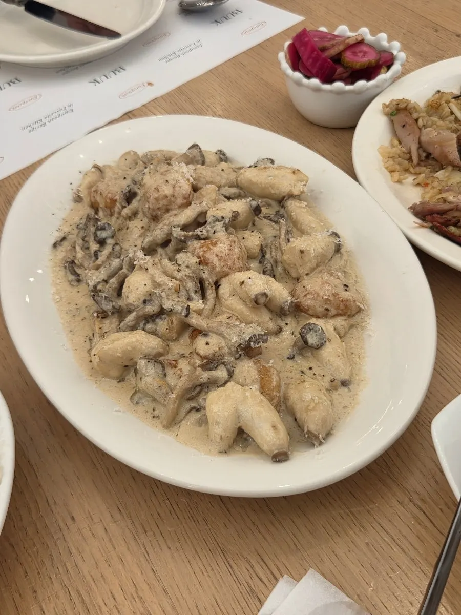 트러플 버섯 크림 뇨끼 한 접시