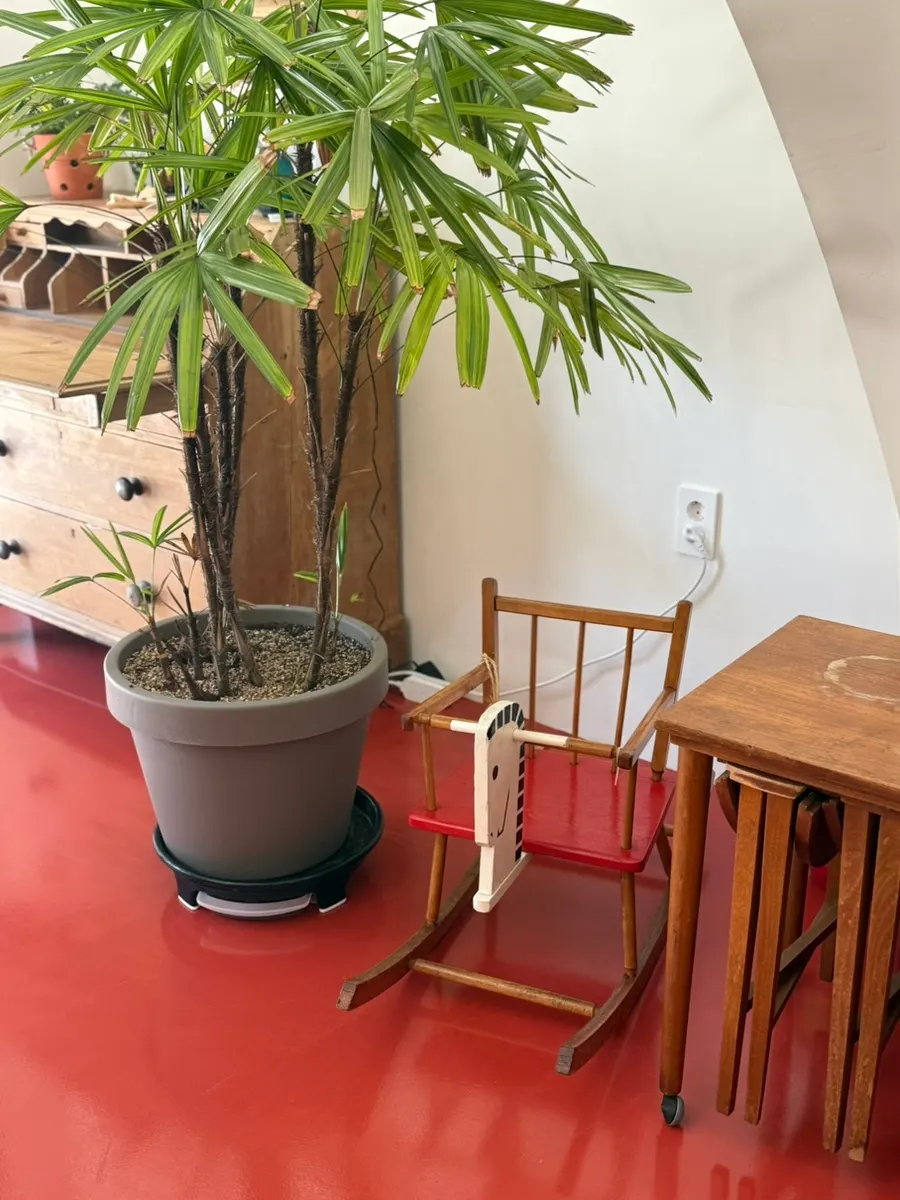 Yes Kids Zone area with baby chairs and baby dishes