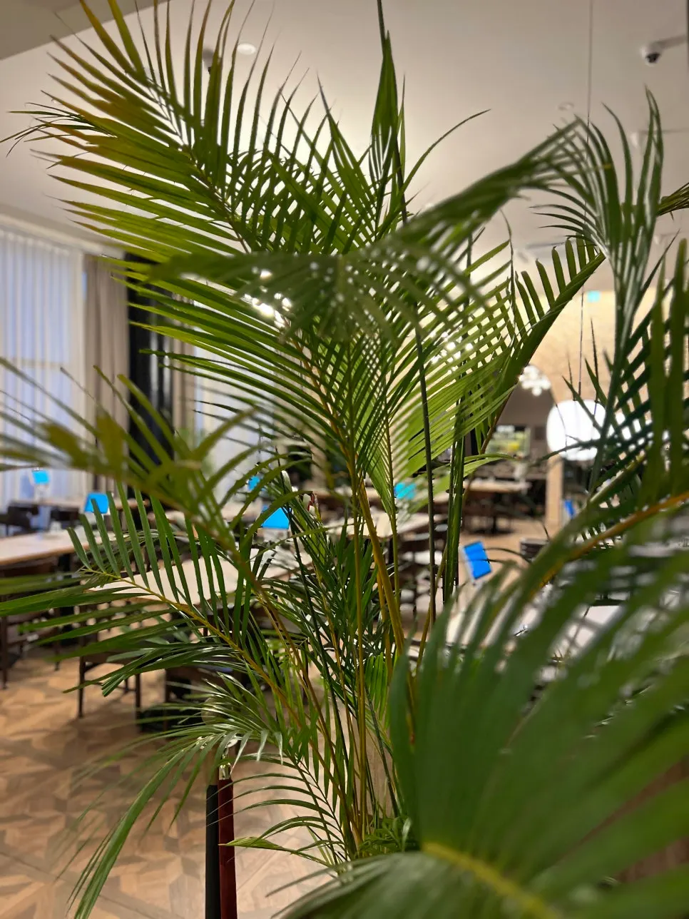 Interior of Bueokgan Sangmu Branch at sunset
