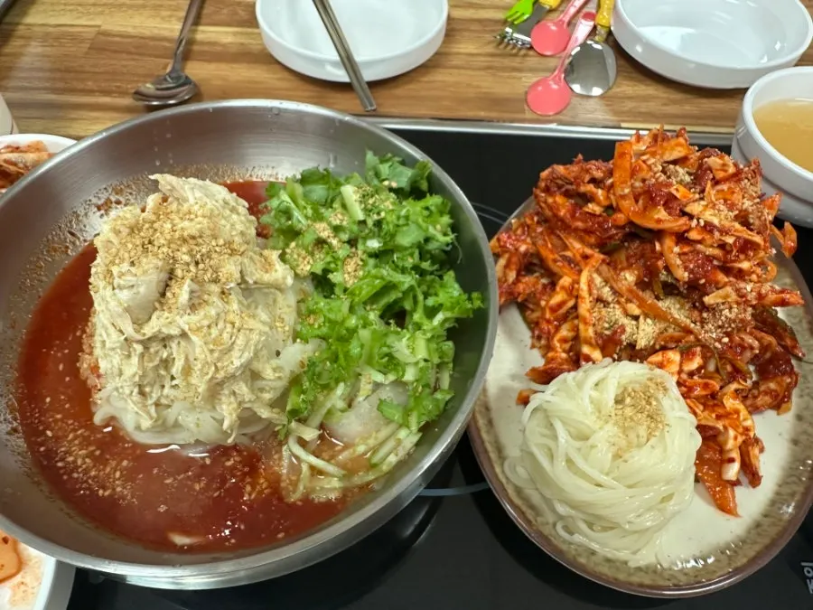 면과 닭고기가 듬뿍 담긴 살얼음초계국수
