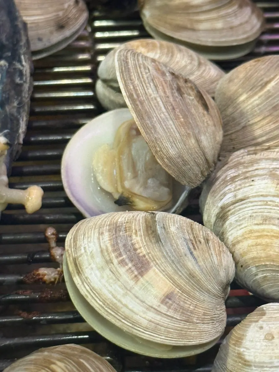Clams opening up on the grate-style grill
