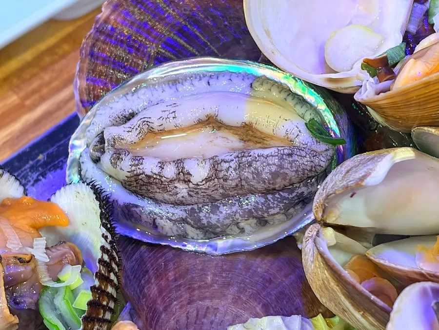 Octopus atop the clam hot pot, cut with scissors by the owner