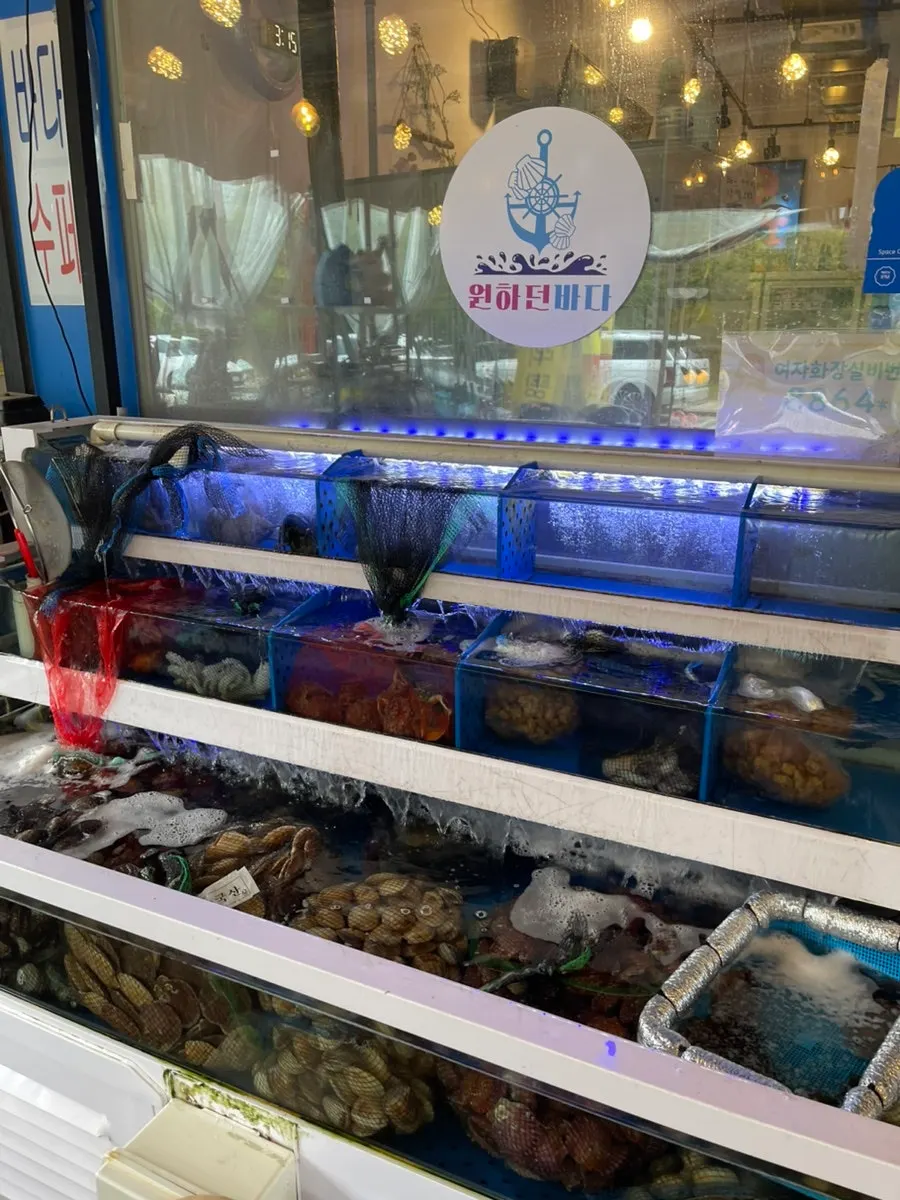 Screen showing clam steamer and grilled clam menu options