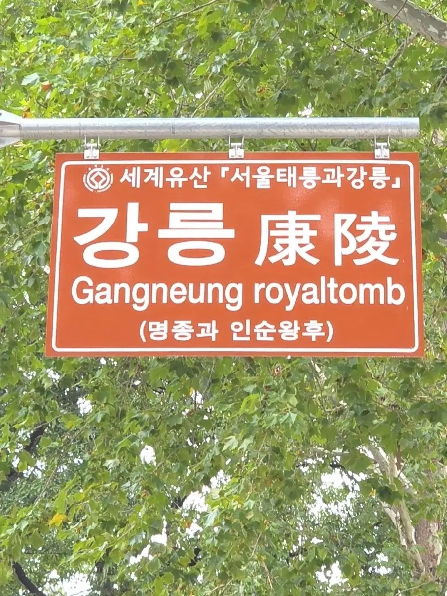 가을 초입 조선왕릉 숲길 산책 풍경