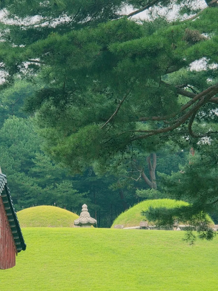 초록 잔디가 펼쳐진 태강릉 능역