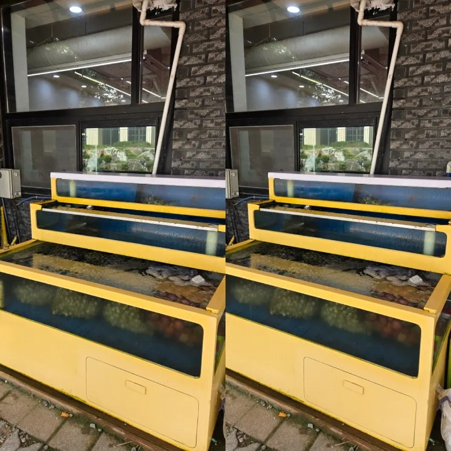 Small aquarium set up next to the entrance