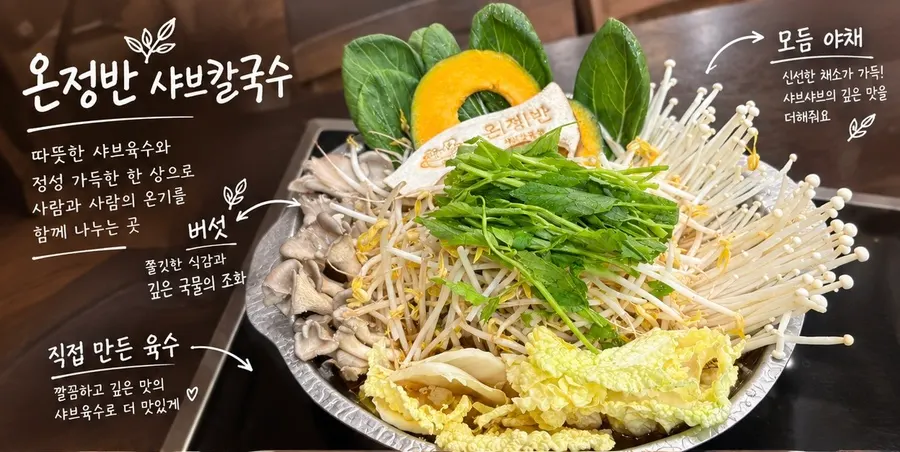 Recommended spread of rolled dumplings and shabu-shabu