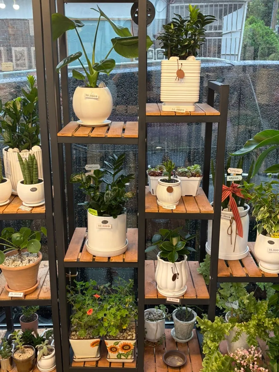 Interior view of the shop with flowers on display