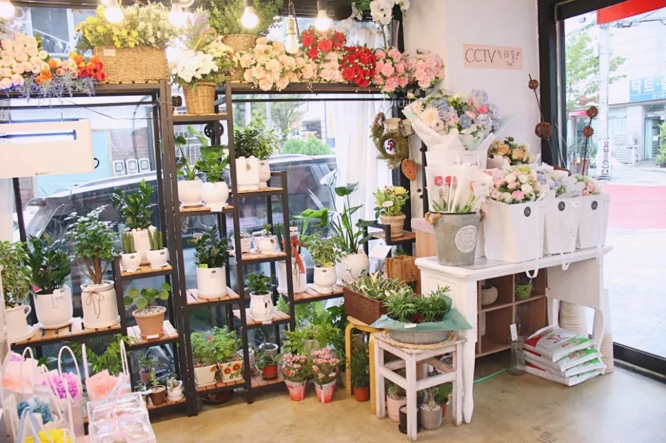 Potted plant corner on the right side of Jeongjik Farm Flower