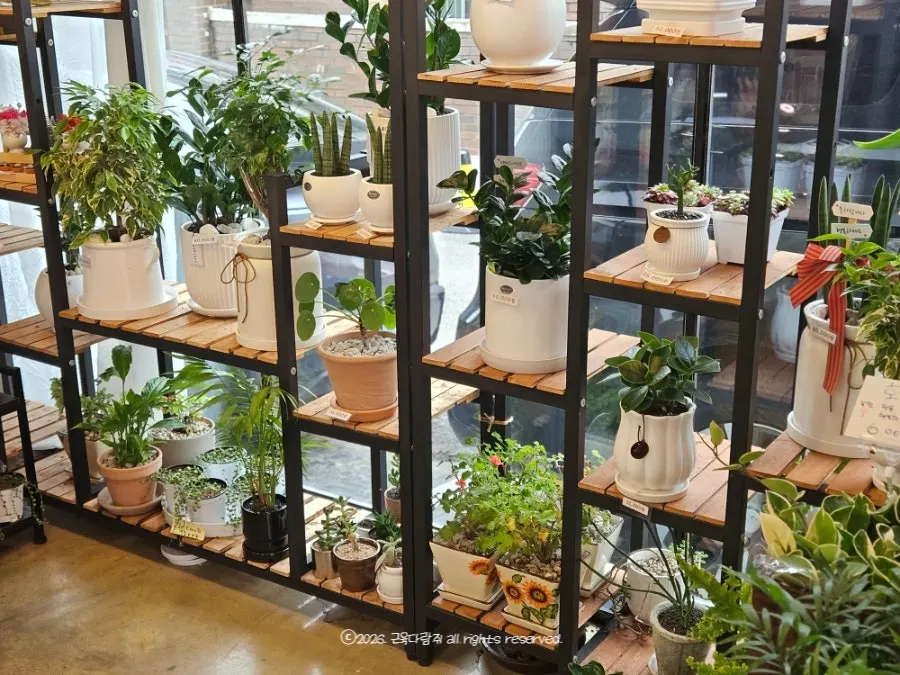 Shelf of various pre-made flower gifts