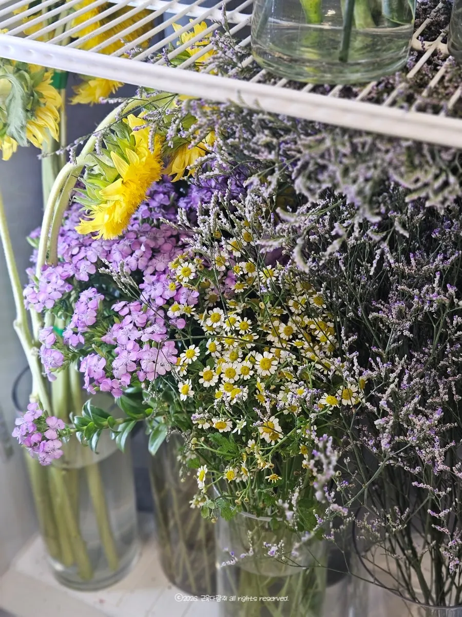Fresh bouquets displayed in water buckets
