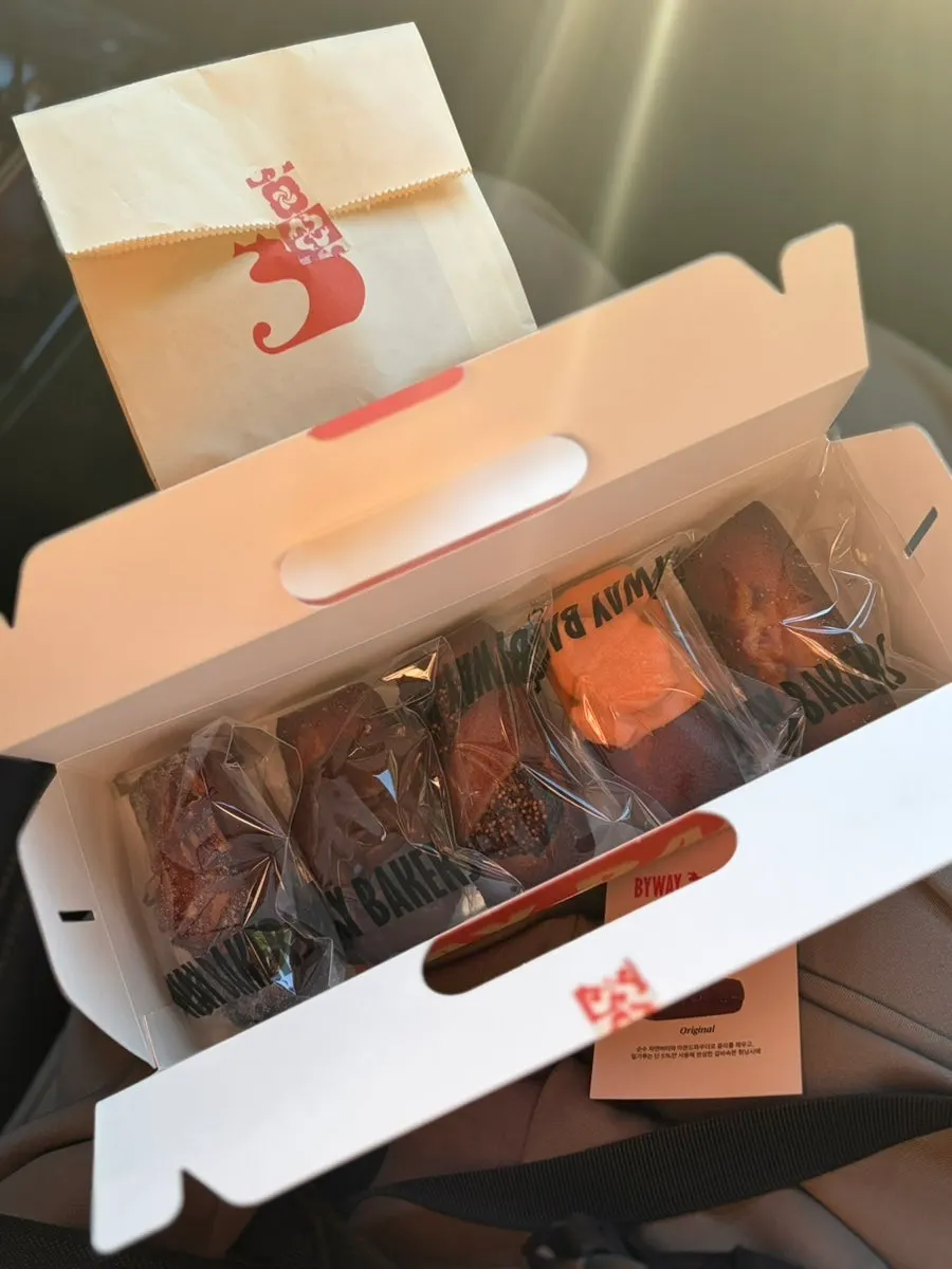 솔티 휘낭시에 단면