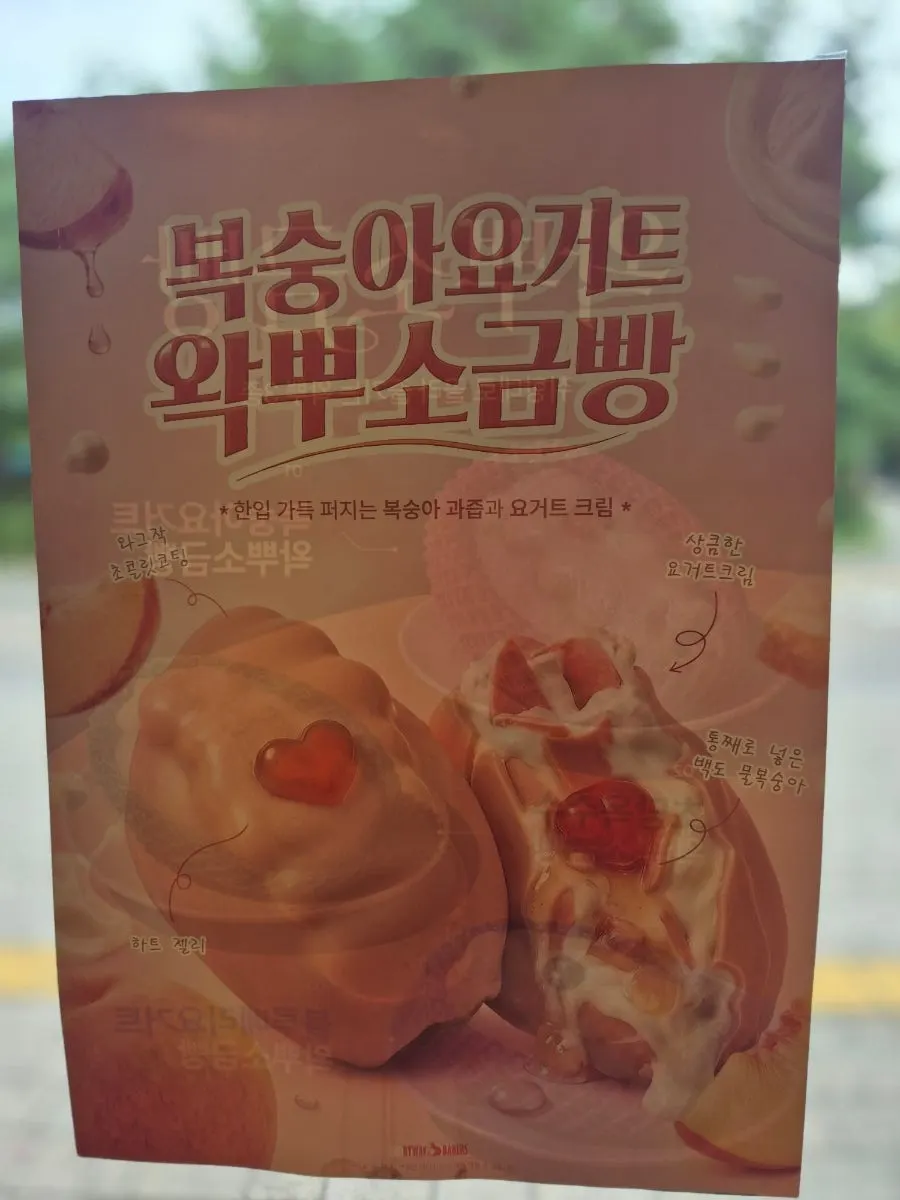 베이커리 진열대의 빵 종류