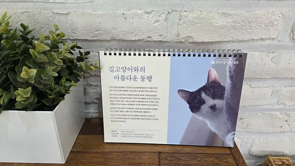 카페 2층에 놓인 길냥이 달력