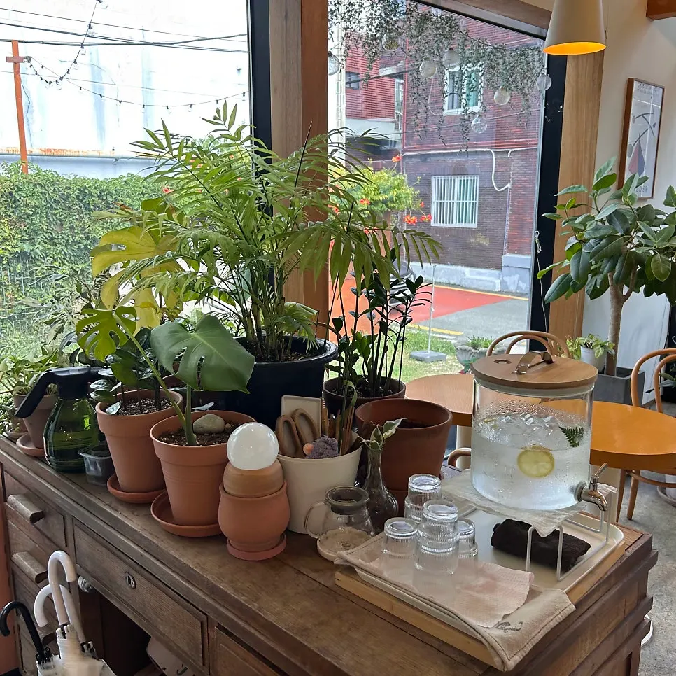 Long trailing moth orchid and counter seating