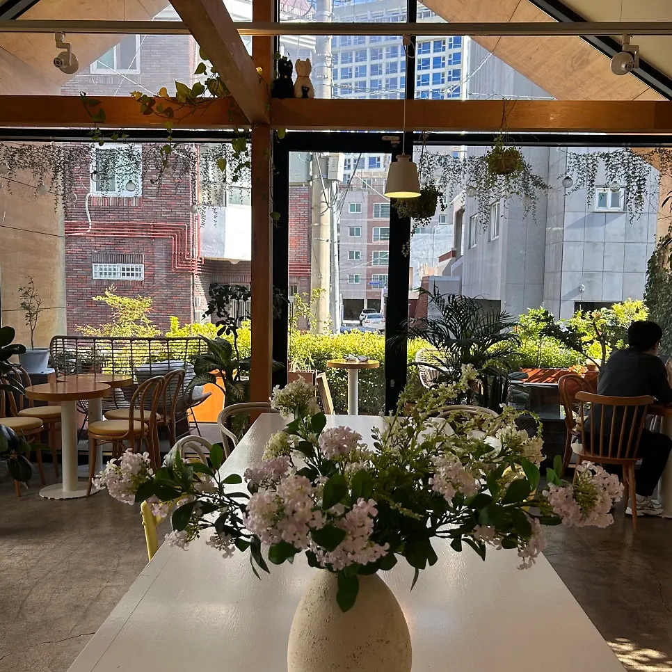 Sunlight streaming into the café through the picture window