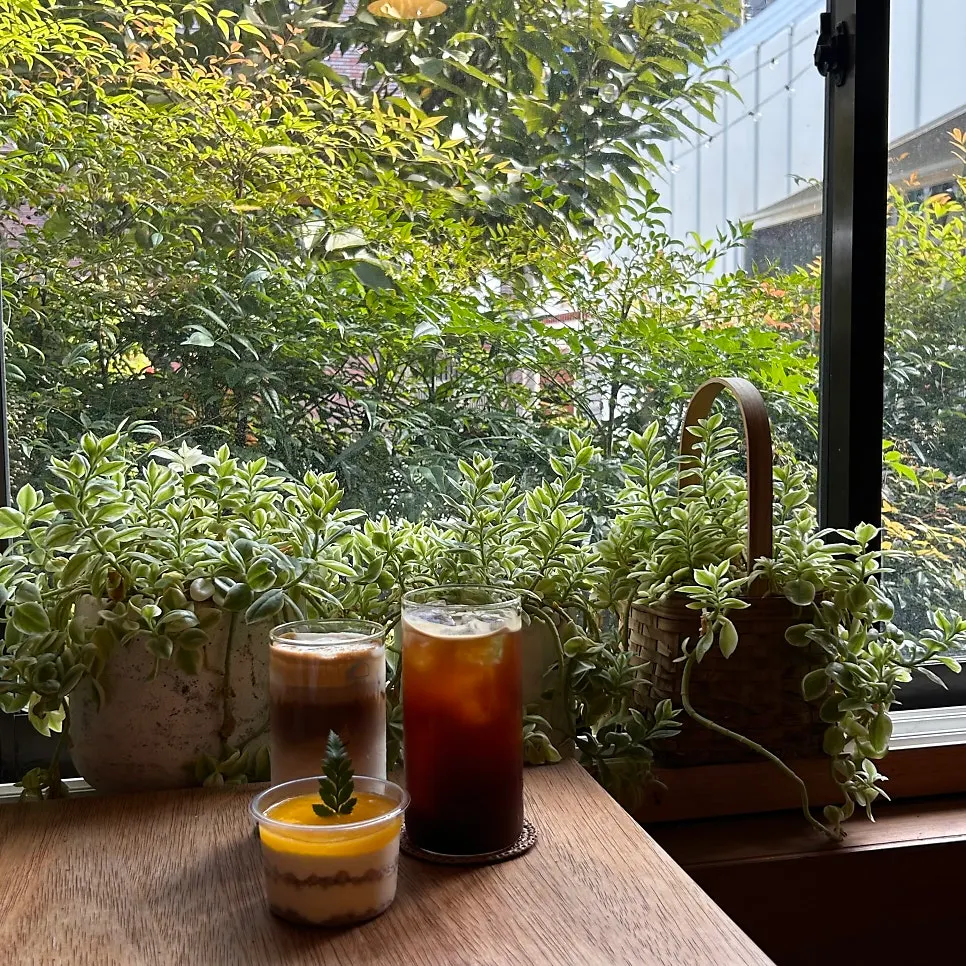 Iced americano, maple cream latte, and apple mango cheesecake by the window