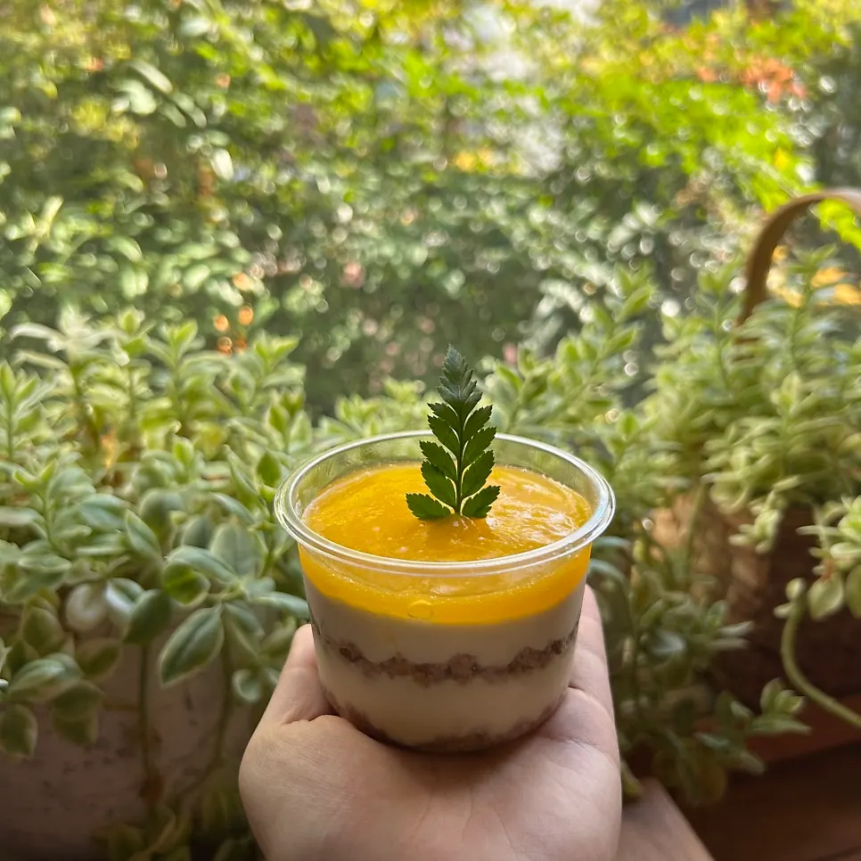 A slice of apple mango cheesecake