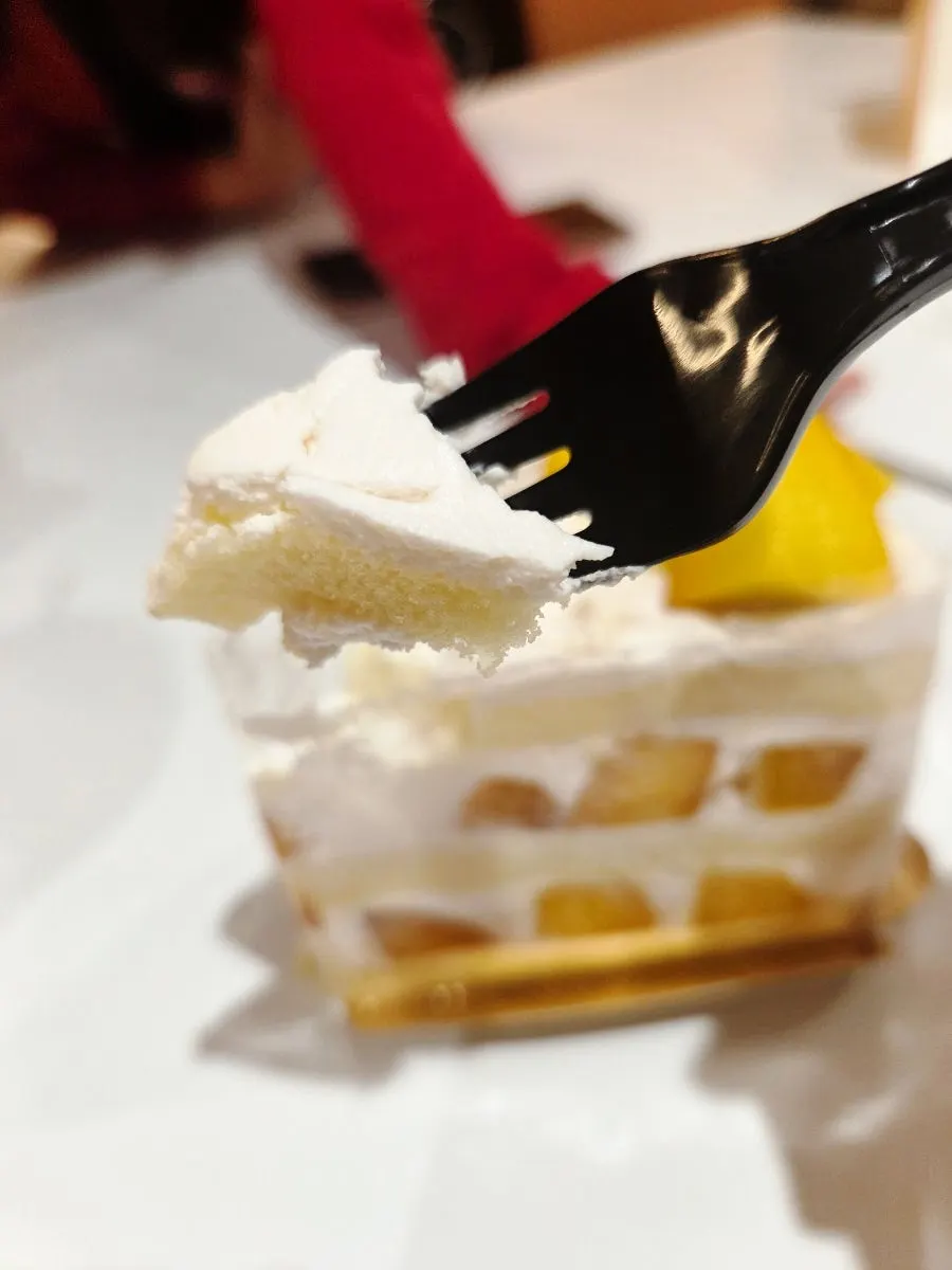 동물성 생크림 케이크 단면