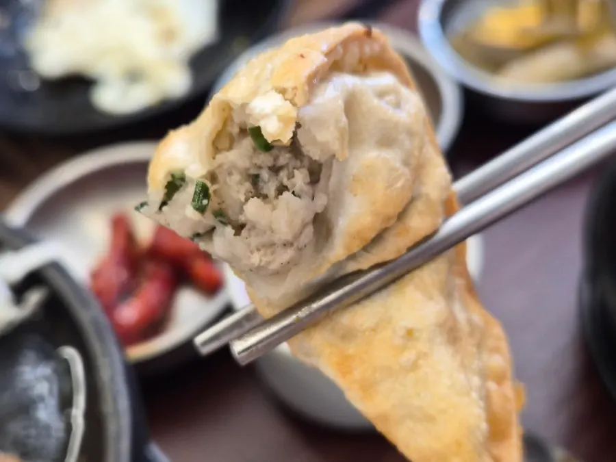 Crispy fried meat mandu
