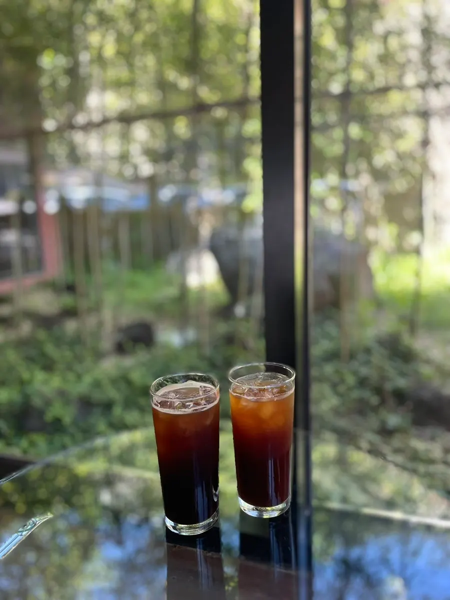 Iced Americano with a hint of acidity
