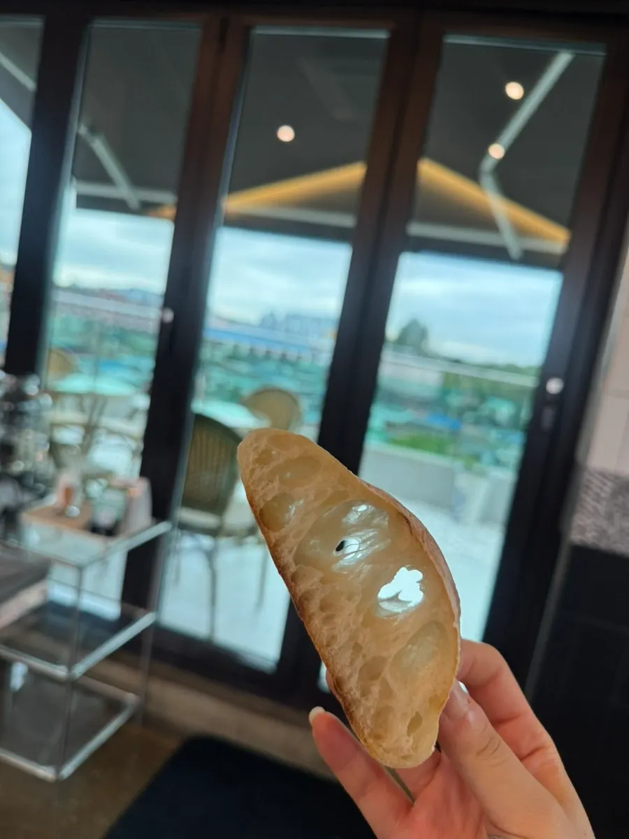 바닐라빈이 박힌 바스크 치즈케이크 단면