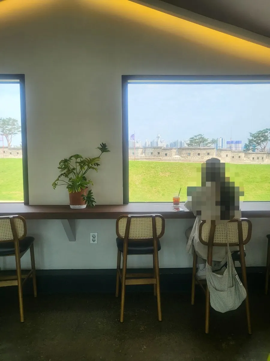 カフェインフォーカス3階内部の窓際席