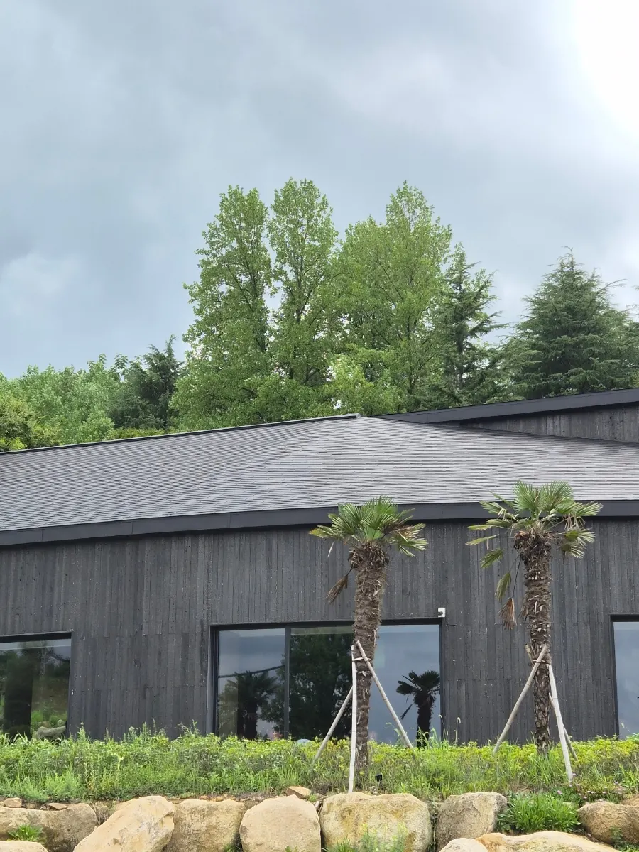 MUG's dark wood building blending with the mountain