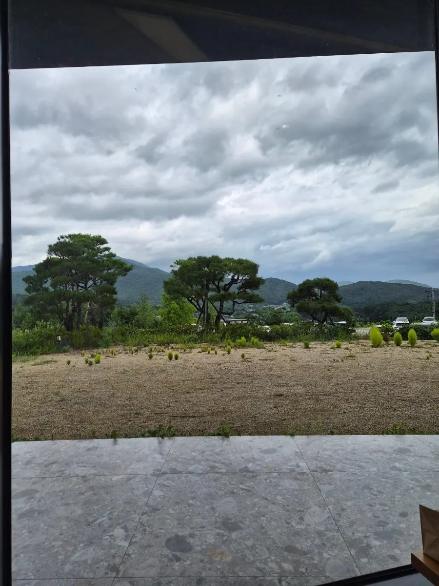 Rainy mountain view from MUG's window