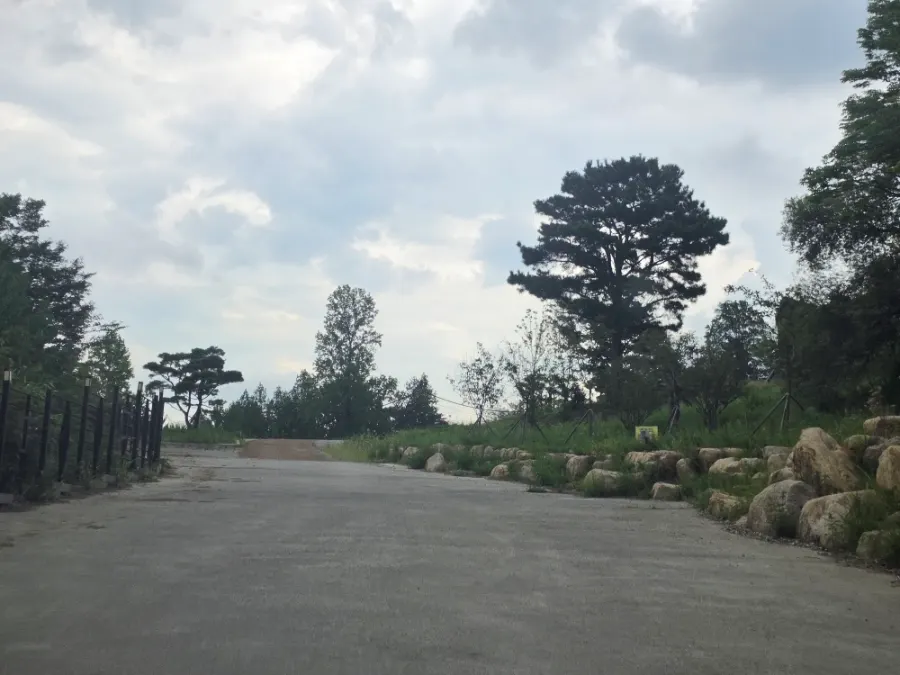 산불 이후 다시 조성된 카페 먹 주변 풍경